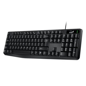 TECLADO GENIUS KB117
