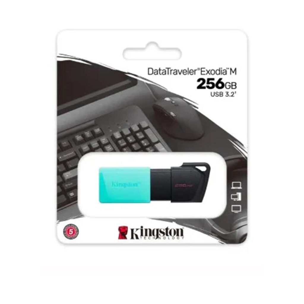 MEMORIA USB KINGSTON 256