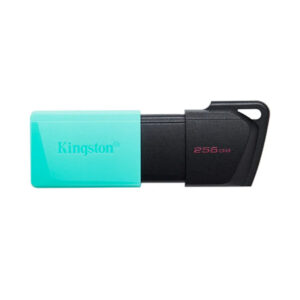 MEMORIA USB KINGSTON 256