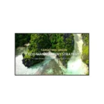 LG 55UL3Q-E Monitor Digital Signage 55 pulgadas 4K UHD webOS 6.1 Señalización Profesional
